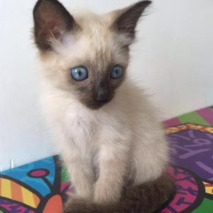 Charlie