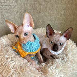 Mari & Larry