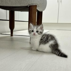 Zoe